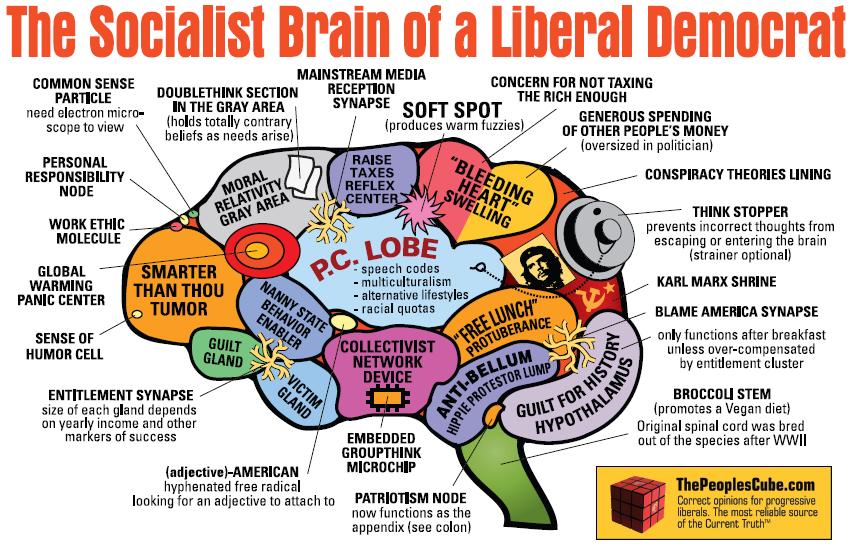 liberal-democrat-brain-2.jpg